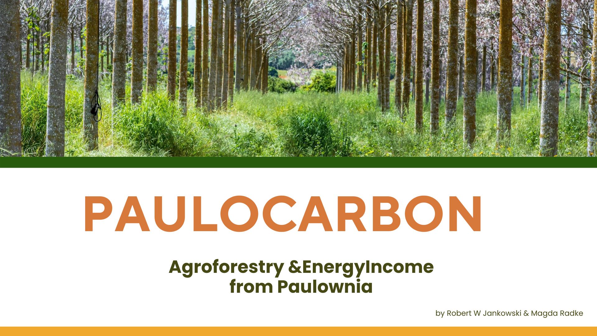 PaulCarbon